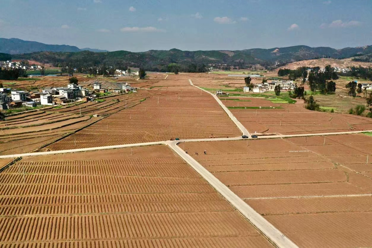 楚雄牟定:建设高标准农田助力乡村振兴