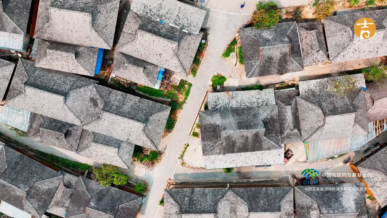 Interviews with visitors