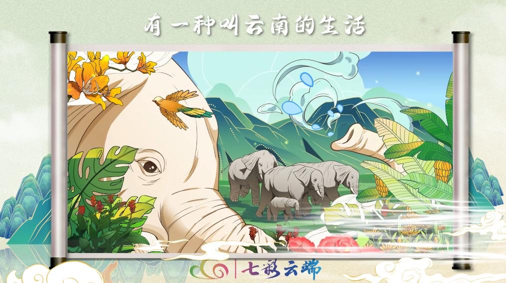 亚洲象北上南归的温暖之旅