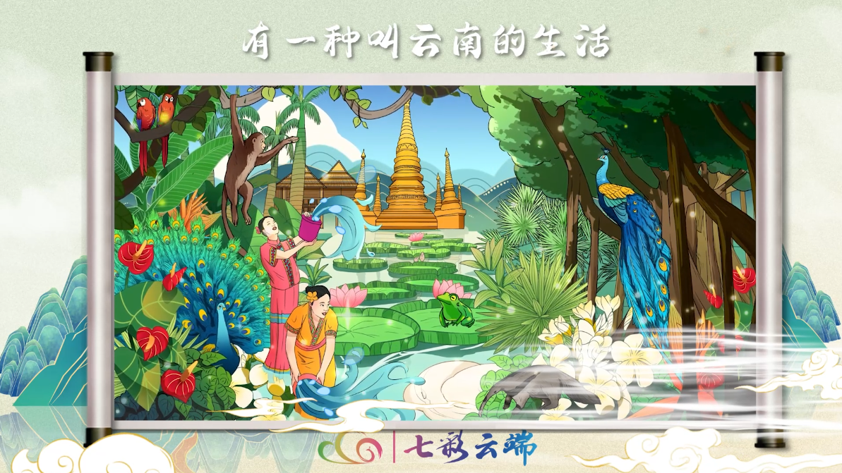 西双版纳的热带雨林