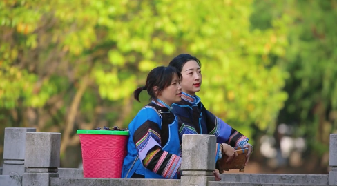 【ဝူလွန်မြို့နယ် ပွဲတော်】နွေဦးရာသီတွင် ပန်အမျိုးမျိုး စားကြသည်