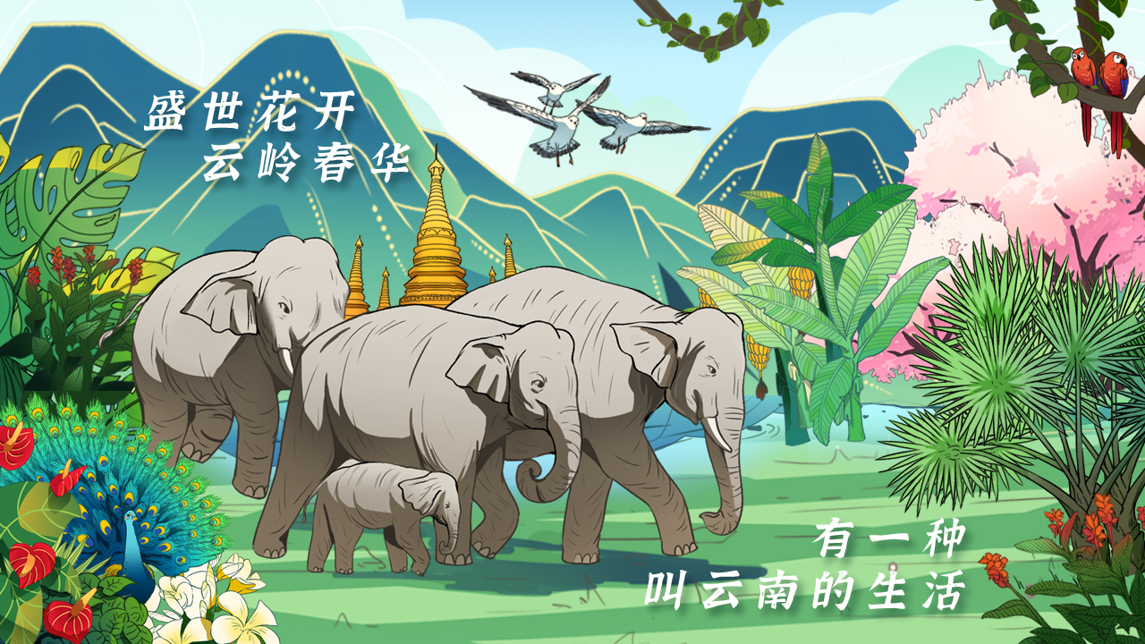 盛世花开·云岭春华