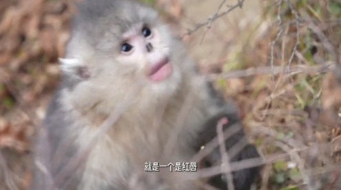 The Hidden Paradise of Yunnan: 