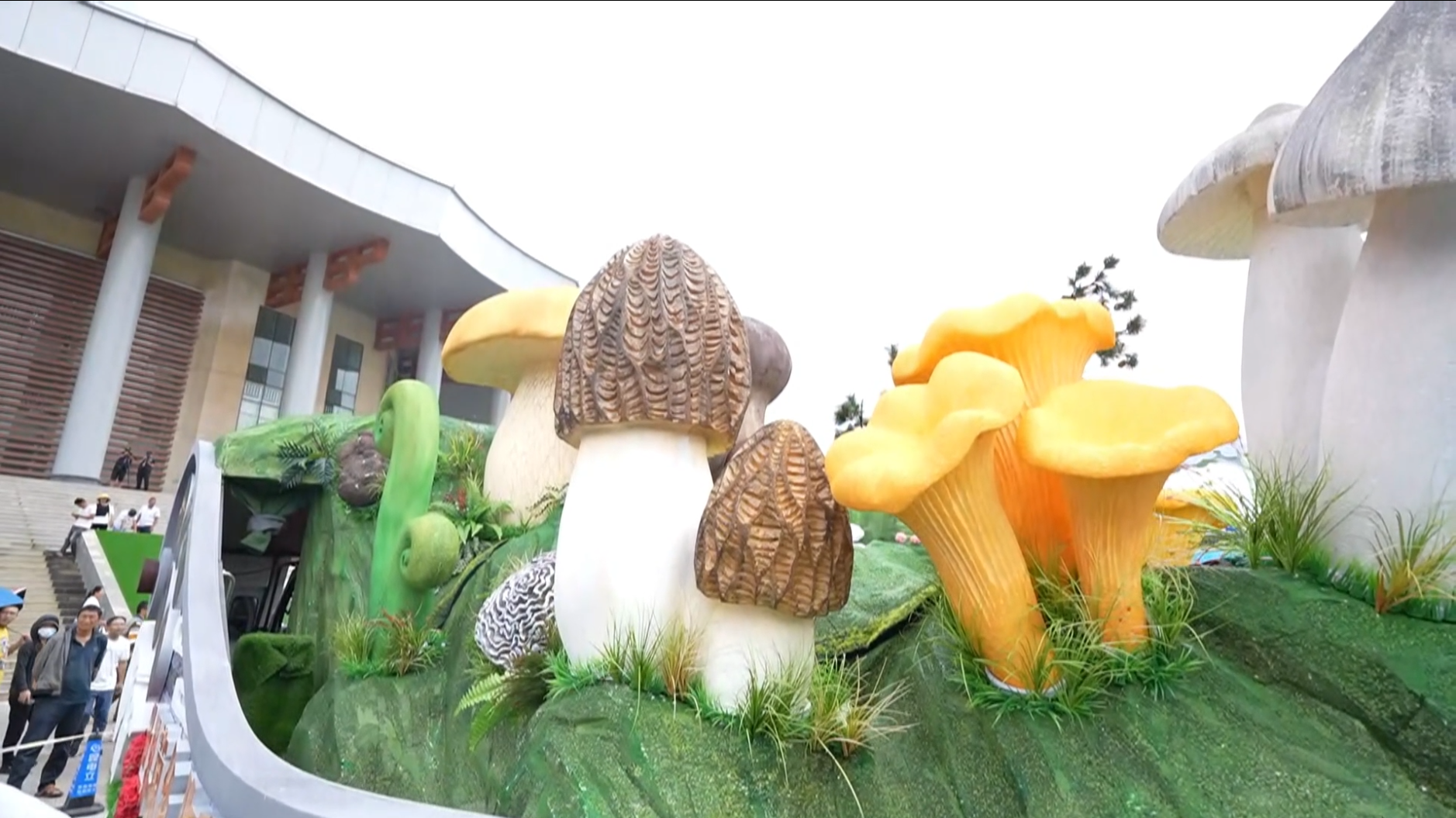 တောရိုင်းမှို တိုင်းပြည်၊ အစားချစ်သူတို့ရဲ့ ပျော်စရာ